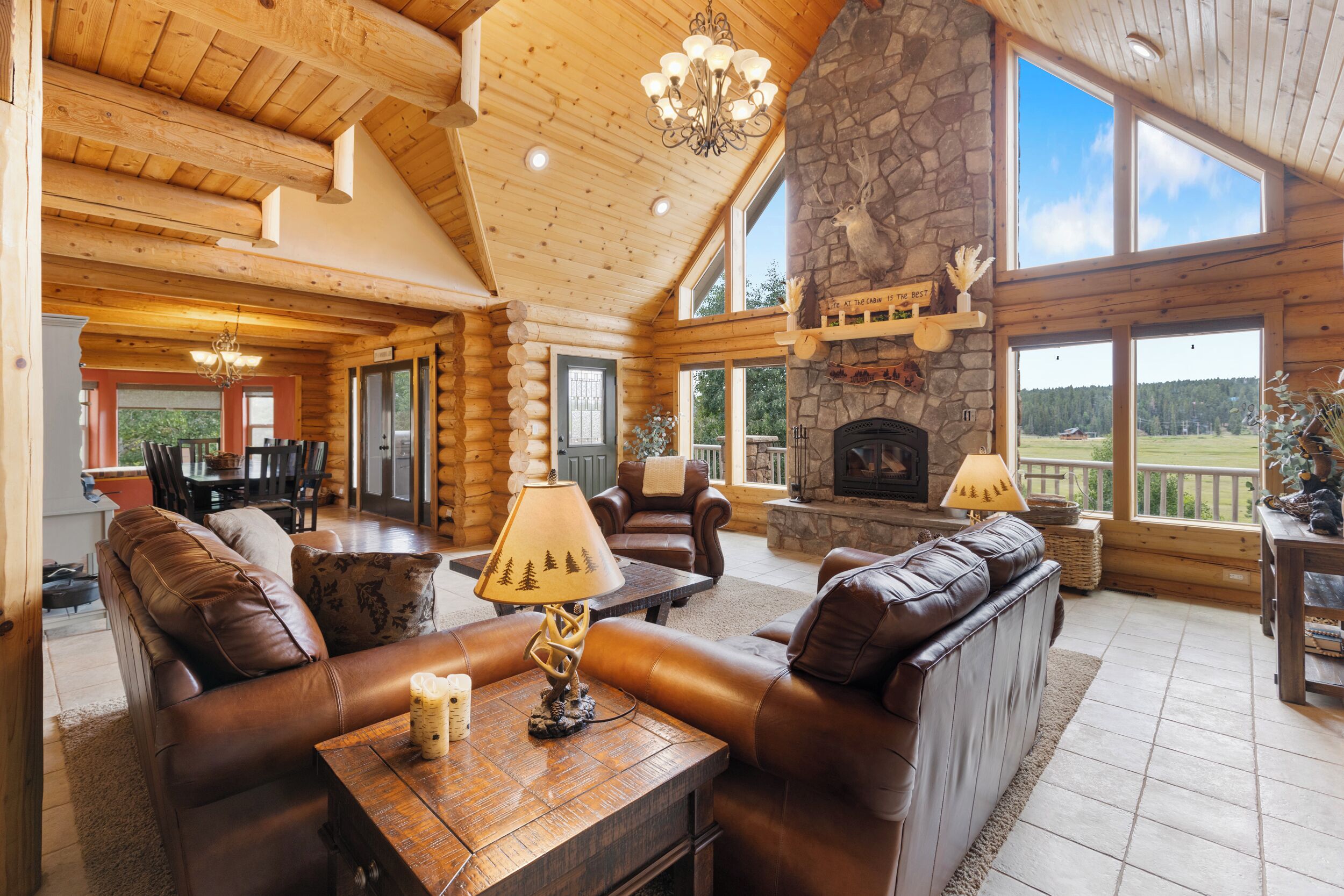 TV connectée, cheminée, lecteur de DVD, table de tennis de table