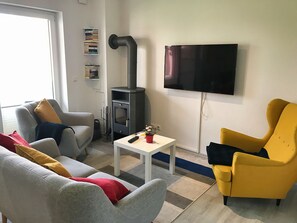 TV, fireplace, books