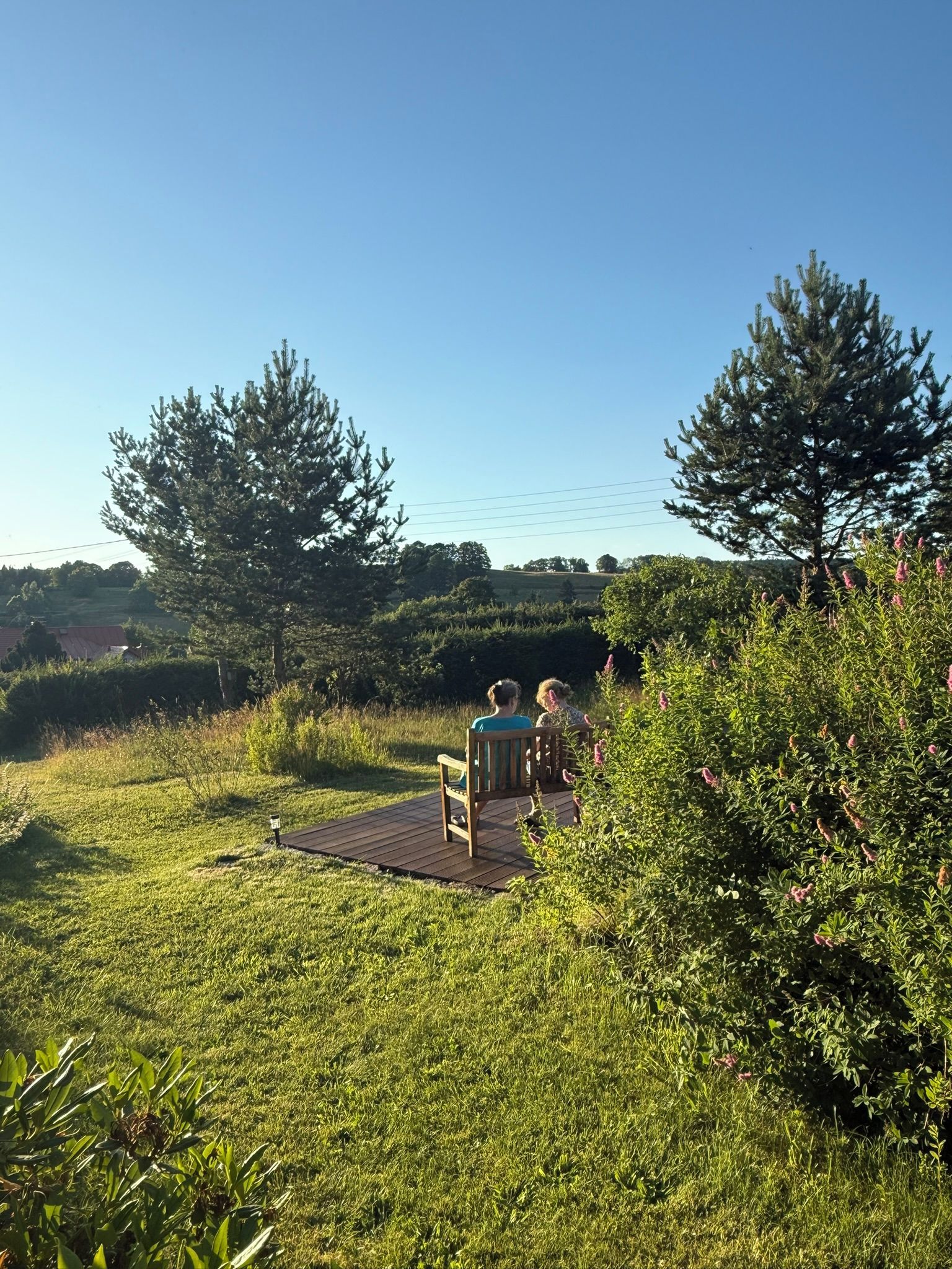 Un espace extérieur aménagé avec un banc en bois et une table, entouré de verdure et d’arbres.
