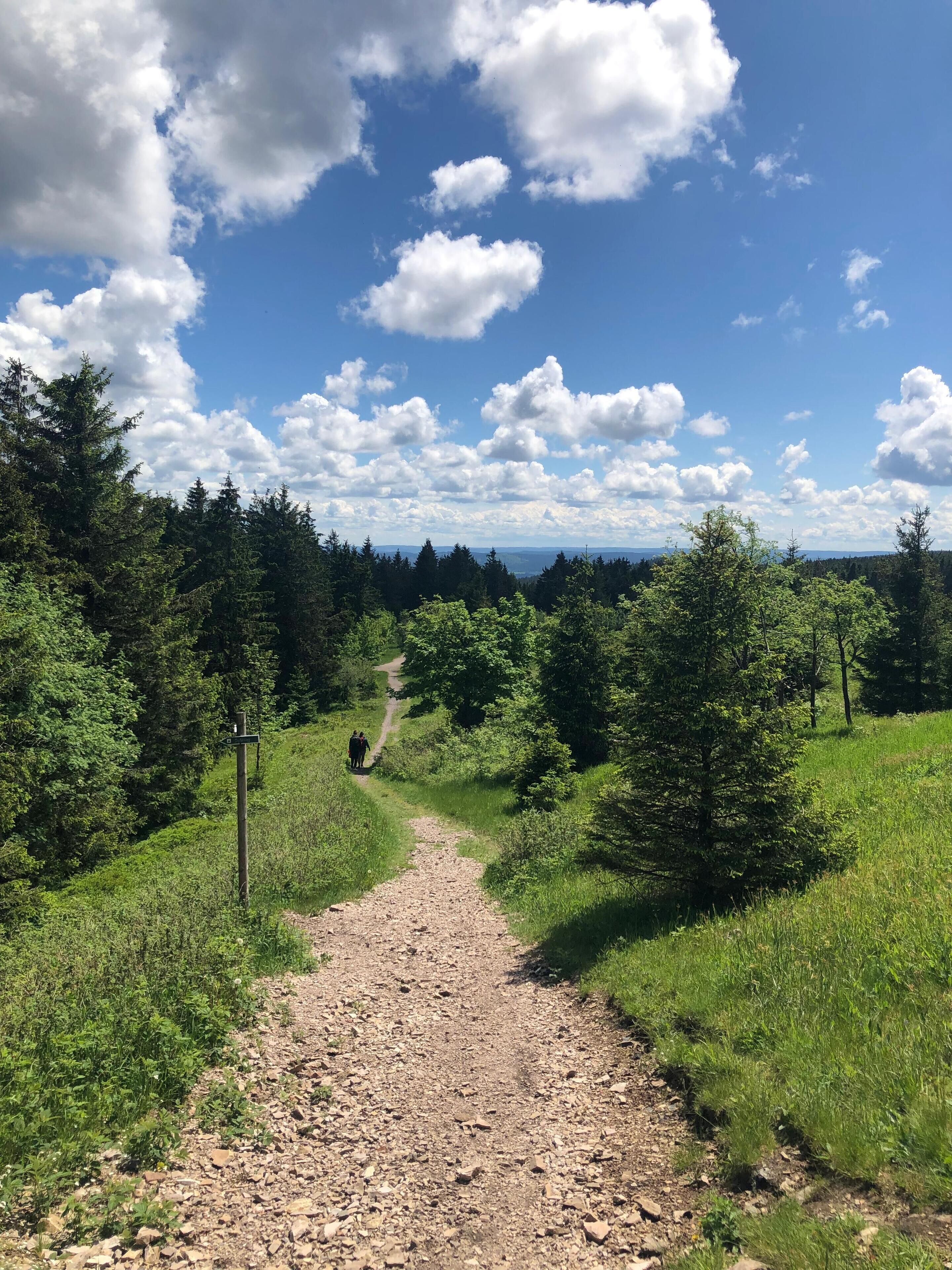 Ein Kiesweg führt durch ein bewaldetes Gebiet, der Himmel ist klar und es gibt vereinzelte Wolken.