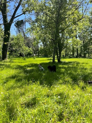 Terrein van de accommodatie