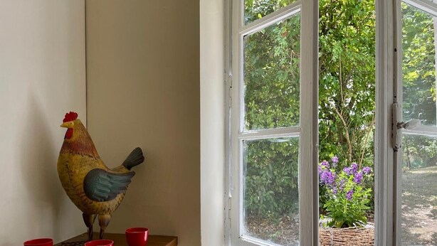 Janela com vista para vegetação e flores, mesa de madeira com galo decorativo e copos vermelhos, e radiador branco.