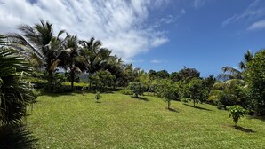 A lush, green landscape with palm trees and a clear blue sky. - Mont loué - Maison 6 personnes (Trois Rivieres)
