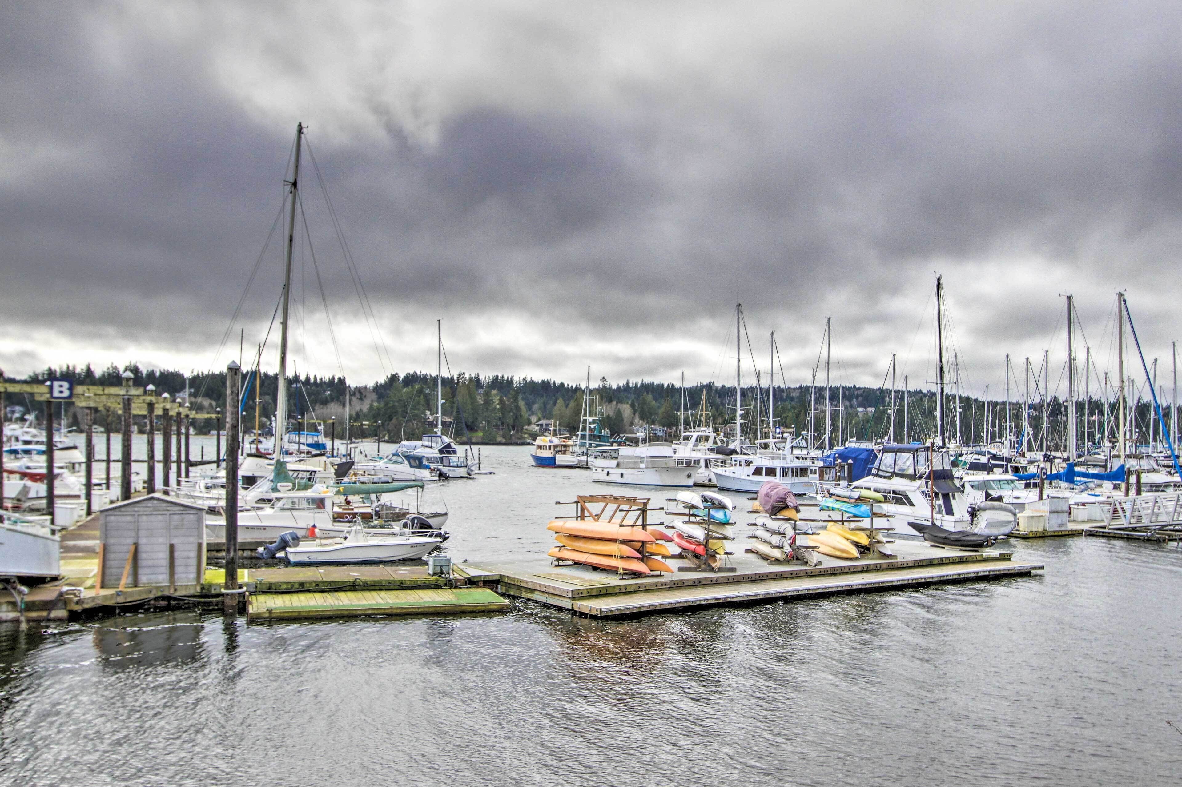 A marina with multiple boats docked, a small shed, and a dock with canoes.