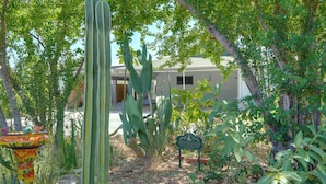 Un jardin de cactus avec un panneau indiquant qu’il s’agit d’une espèce protégée.