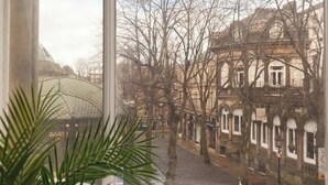 Una ventana con vistas a una calle, edificios y una planta.