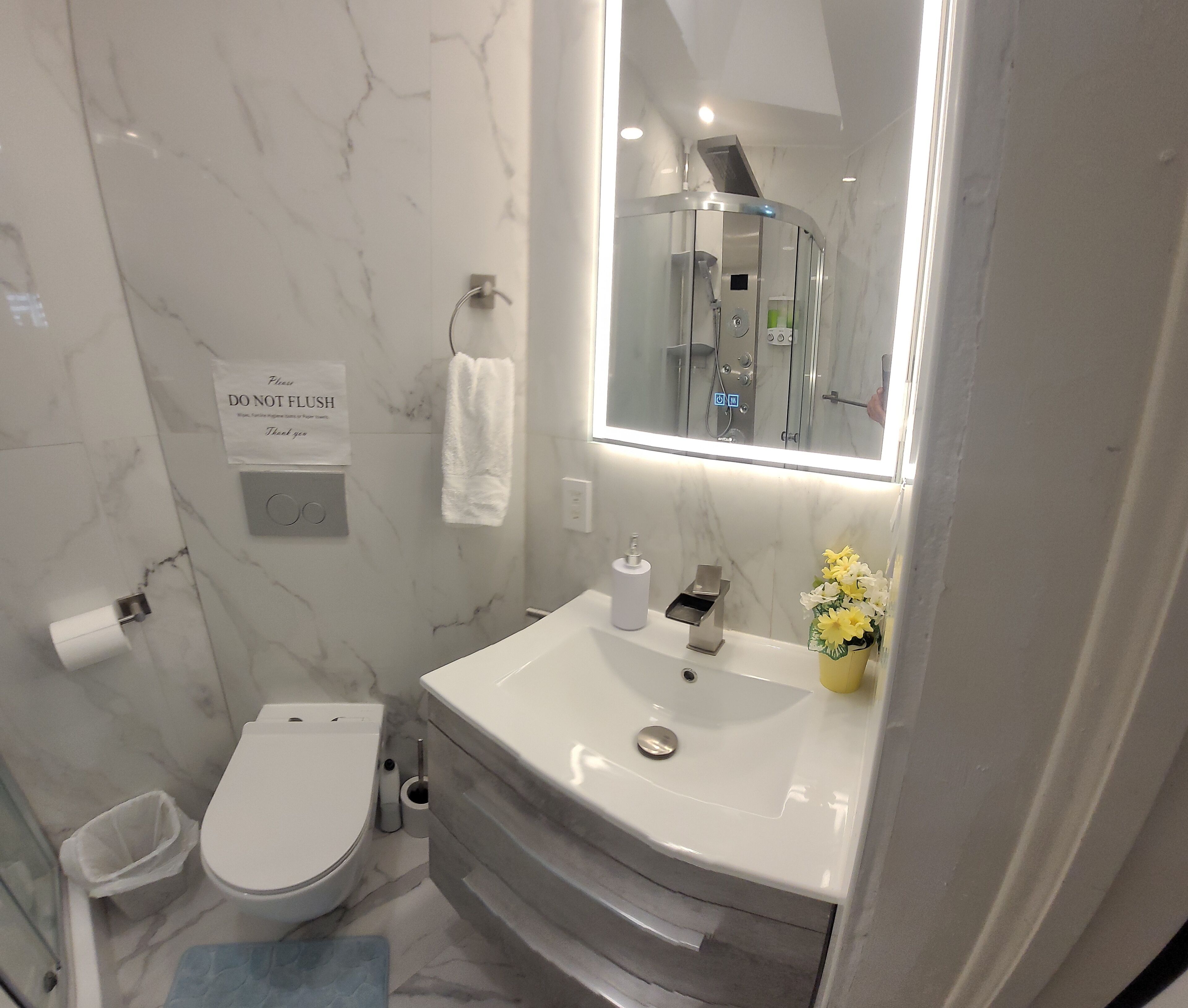 Shower, hair dryer, bidet, towels