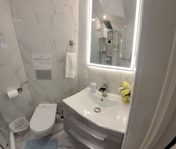 Shower, hair dryer, bidet, towels