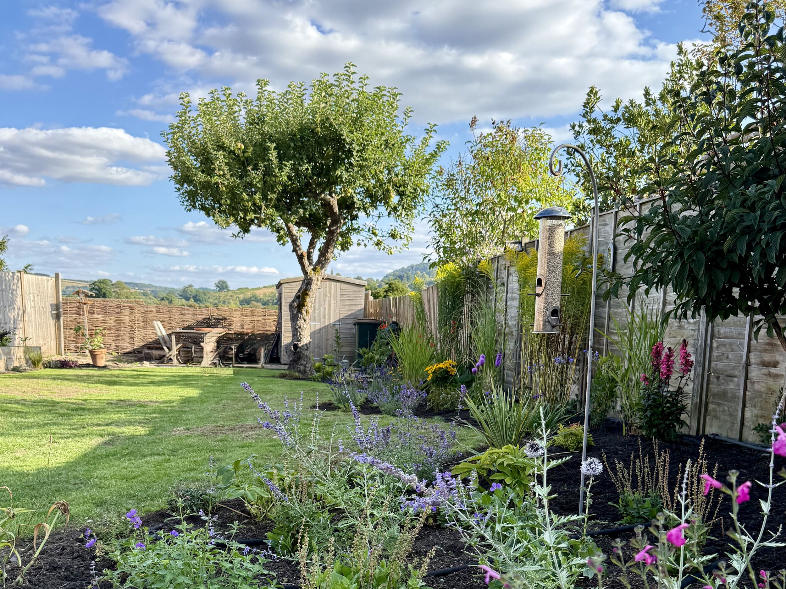 A garden with a variety of plants and flowers, a wooden shed, and a stone wall.