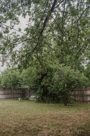 Property grounds - Charming 2 bed 1 bath, Historic Sayles area, good 4 long stays, spacious,central (Abilene)