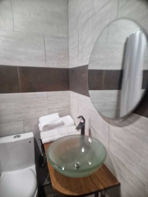 Douche, bidet, serviettes fournies, papier toilette