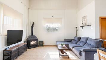 Televisión y chimenea