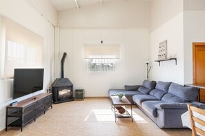 Televisión, chimenea