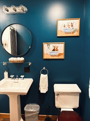 Hair dryer, towels, soap, toilet paper