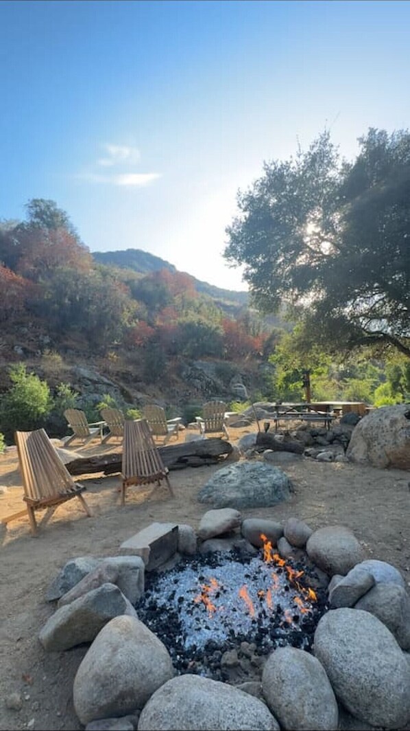 المنطقة المحيطة بالمنشأة