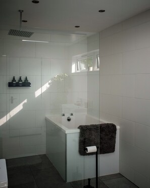 ヘアドライヤー、タオル、石鹸、トイレットペーパー