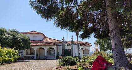 Casa da Real Companhia