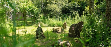 Área da propriedade