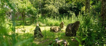 Hedgerow at Gorslwyd - Sound Retreat