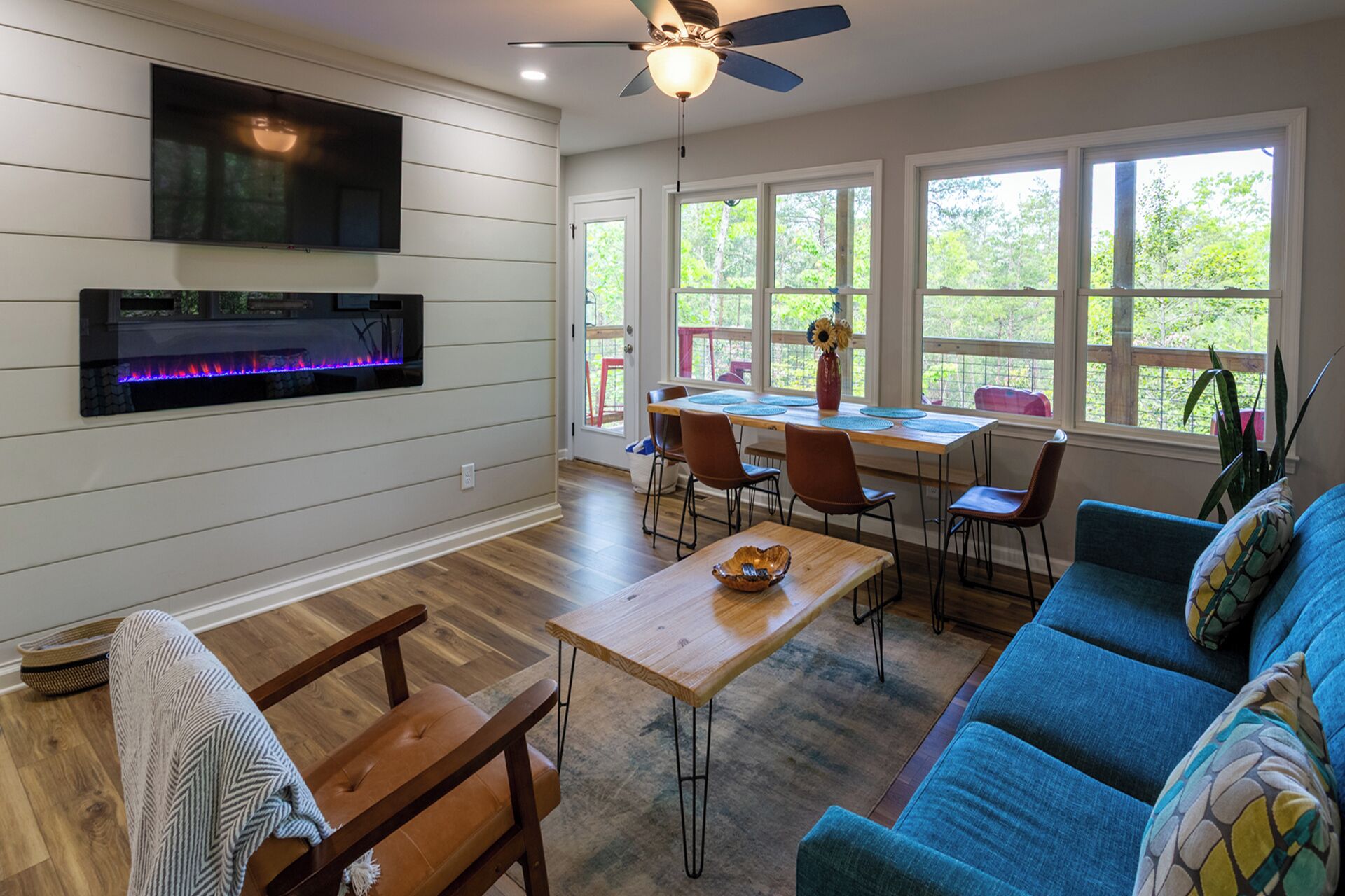 Smart TV, fireplace, video games, books