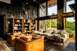 TV, fireplace, offices