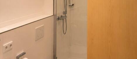 A modern bathroom with a glass shower enclosure, a toilet, and a sink.