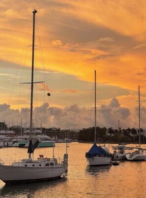 Marina