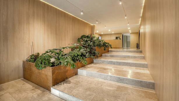 A modern interior with a wooden wall, a staircase, and planters with greenery. - Nido Roma (Mexico City)