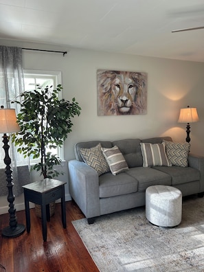 Een smart-tv, een dvd-speler en boeken