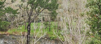 Thames River Valley Studio Retreat 3