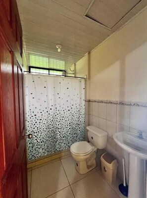 Towels, shampoo, toilet paper