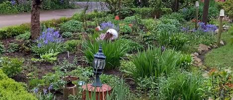 Overnatningsstedets område