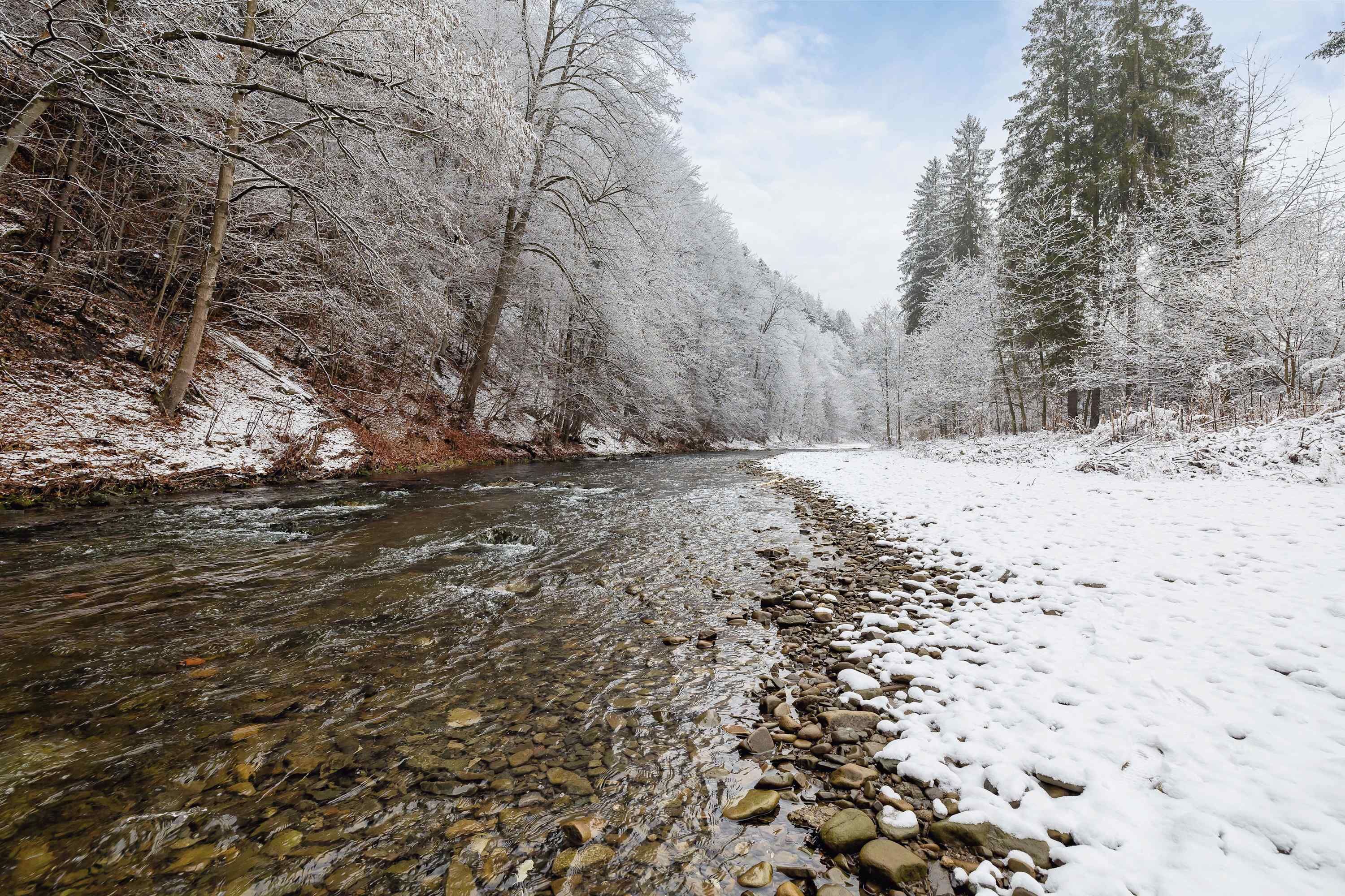 A snow-covered river with clear water, surrounded by trees and a snowy landscape.