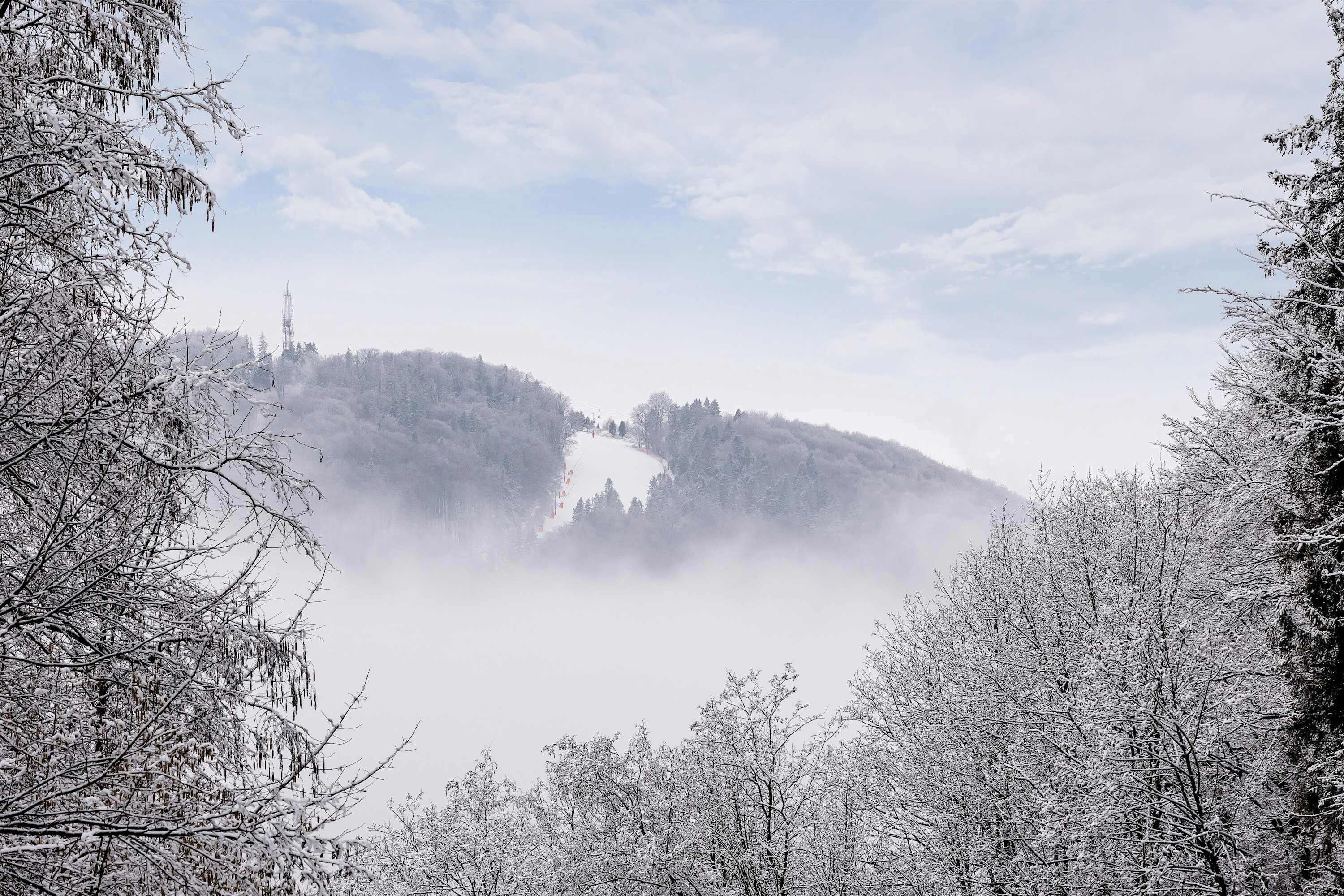 A snowy landscape with a mountain and trees.
