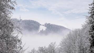 A snowy landscape with a mountain and trees.