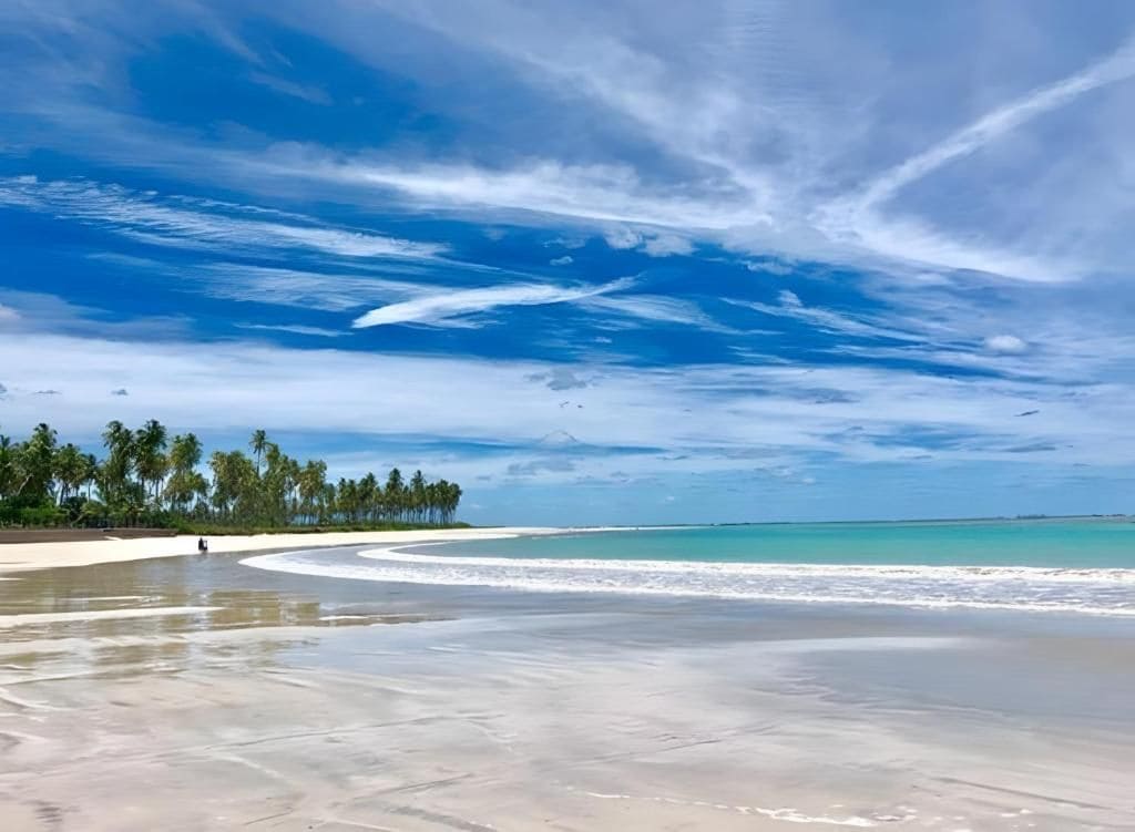 Uma praia com céu claro e águas calmas.