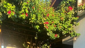 A wooden deck leading to a hot tub area with a pergola overhead and lush greenery. - Pousada Divino Milagre (Passo de Camaragibe)