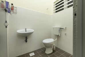 Shower, hair dryer, soap, shampoo