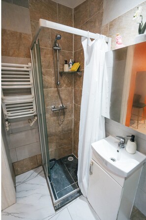 Shower, hair dryer, bidet, towels