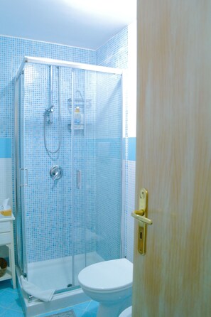 Shower, hair dryer, bidet, towels