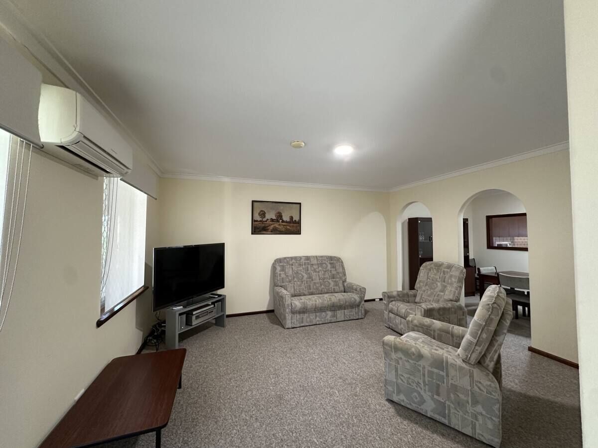 电视、DVD 播放器