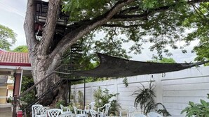 A tree with a staircase, white plastic chairs, and a building in the background. - Cozy Stop Inn (Puerto Princesa)