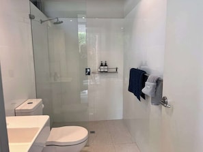 Shower, hair dryer, towels