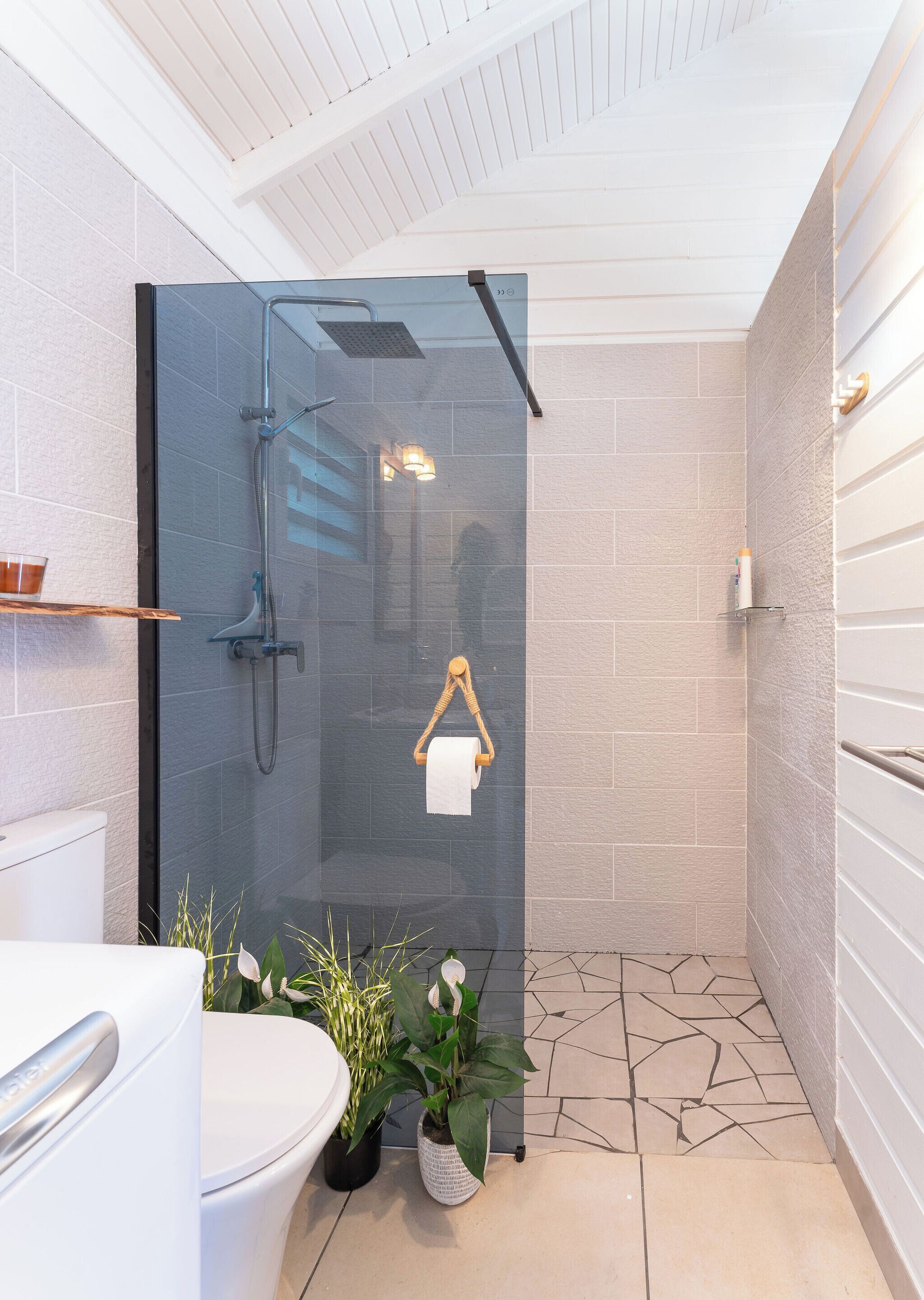 A modern bathroom with a glass shower enclosure, a toilet, and a potted plant.