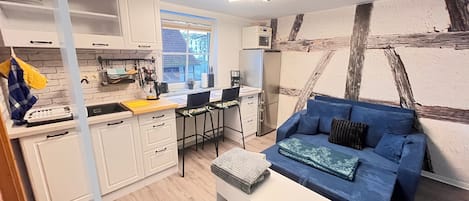 TV, fireplace, table tennis