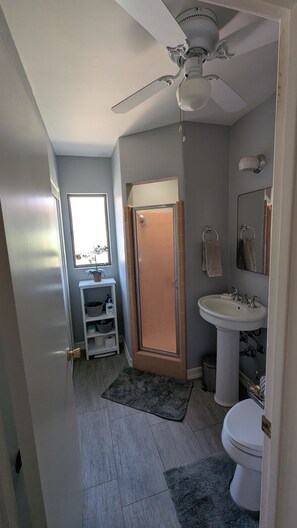 Hair dryer, towels, soap, toilet paper
