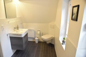 Shower, hair dryer