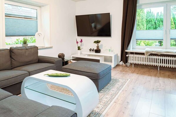 TV, fireplace, books, offices