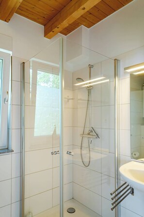 Shower, hair dryer