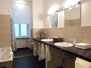 Shower, hair dryer